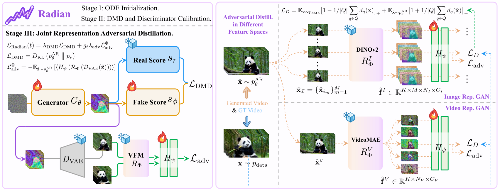 The three-stage Radian training pipeline, including DMD score models and image/video representation adversarial supervision.